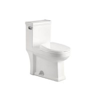 Made in china ceramic sanitary bathroom one piece cUPC toilet